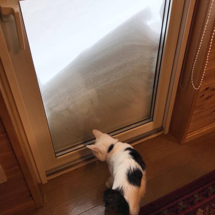 B3e5ef7e 76ac 44fd b2dd 4b080c5664a1 1645483281806