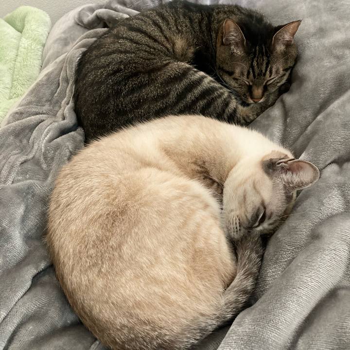 B3e5fc16 2799 4063 adbb 355411b2cee8 1605152668207