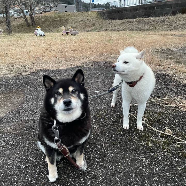 B3e6217e 31a9 4ff5 9759 6af19d33c9e8 1674125009211