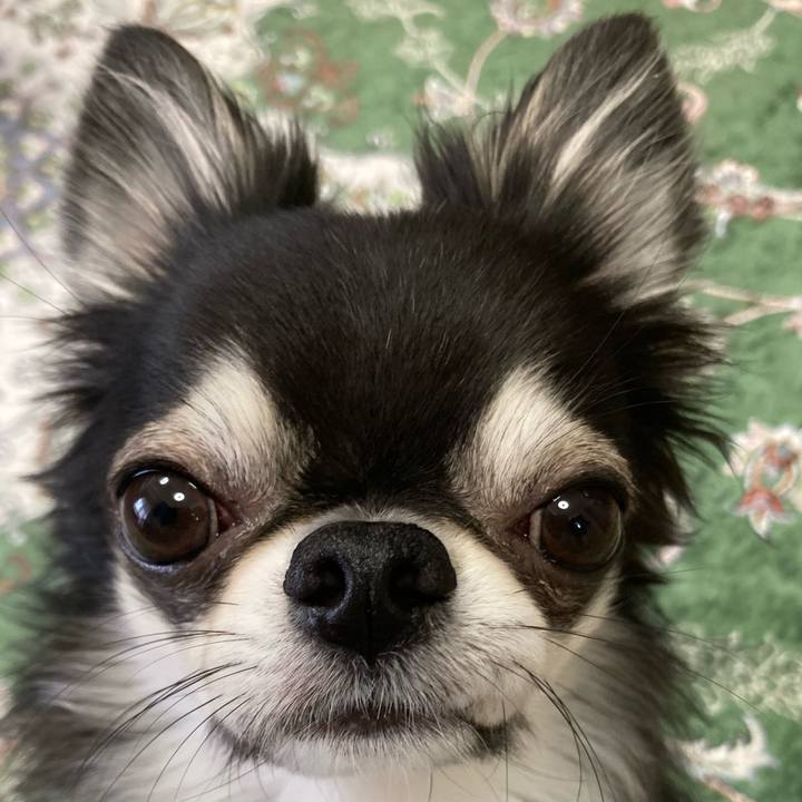 B3e663a0 c17e 46e2 96e3 80ca92609e05 1654903029500