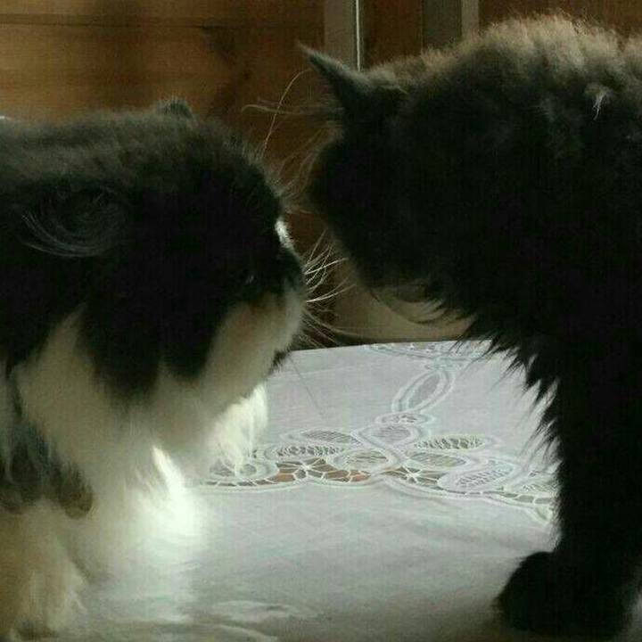 B3e66b49 78ec 4bda adc7 1307b06fd606 1508841185512