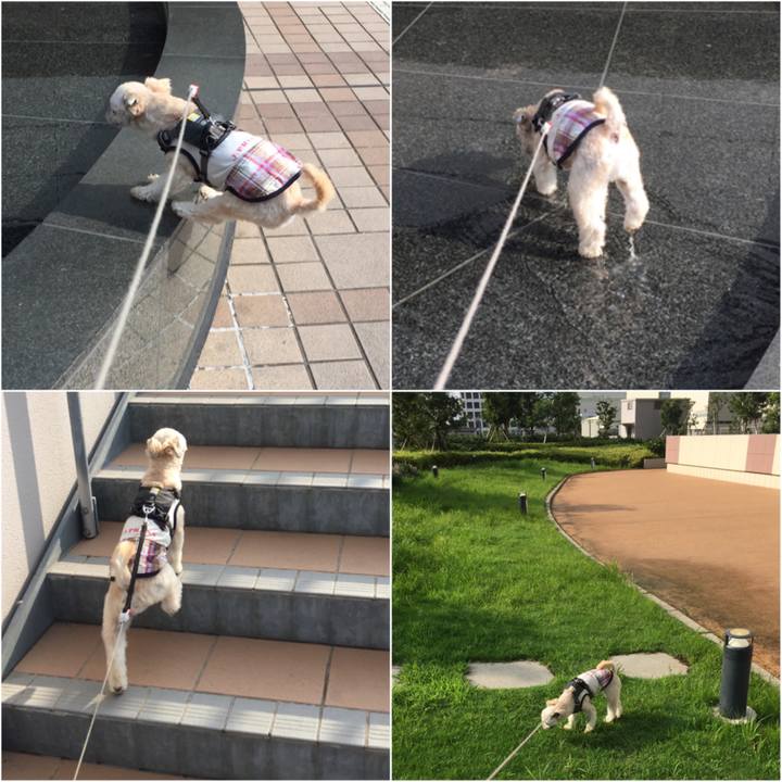 B3e67563 f4a6 4d10 9848 59c9fcb3c670 1564791600362