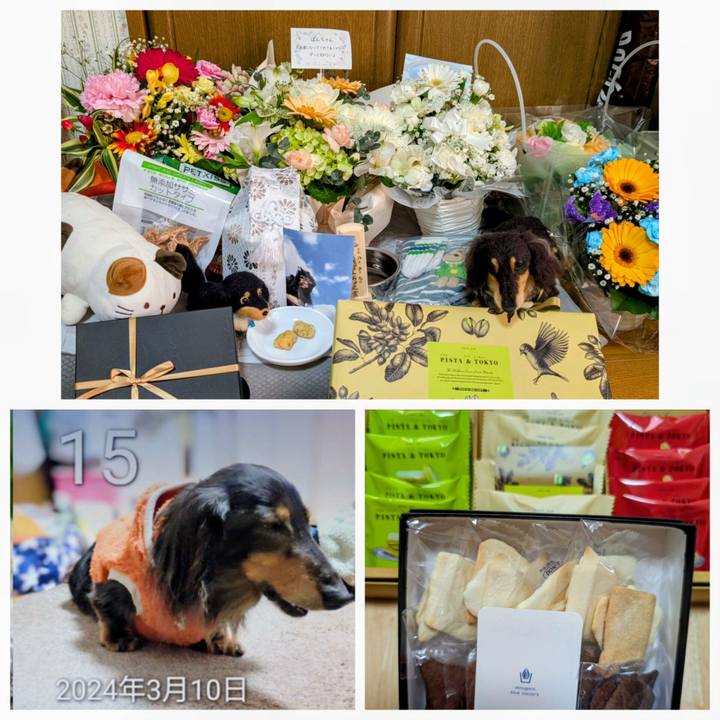 B3e6808e f5ba 4db3 9a9d e52b3f9e5062 1773579362190