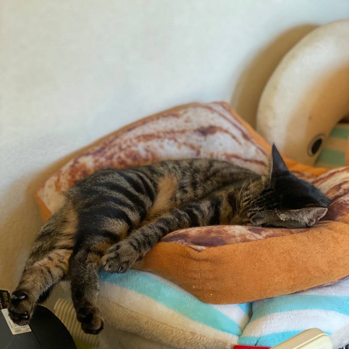 B3e6a9ed d891 4a22 bdda 661e11d7aacc 1574756092929