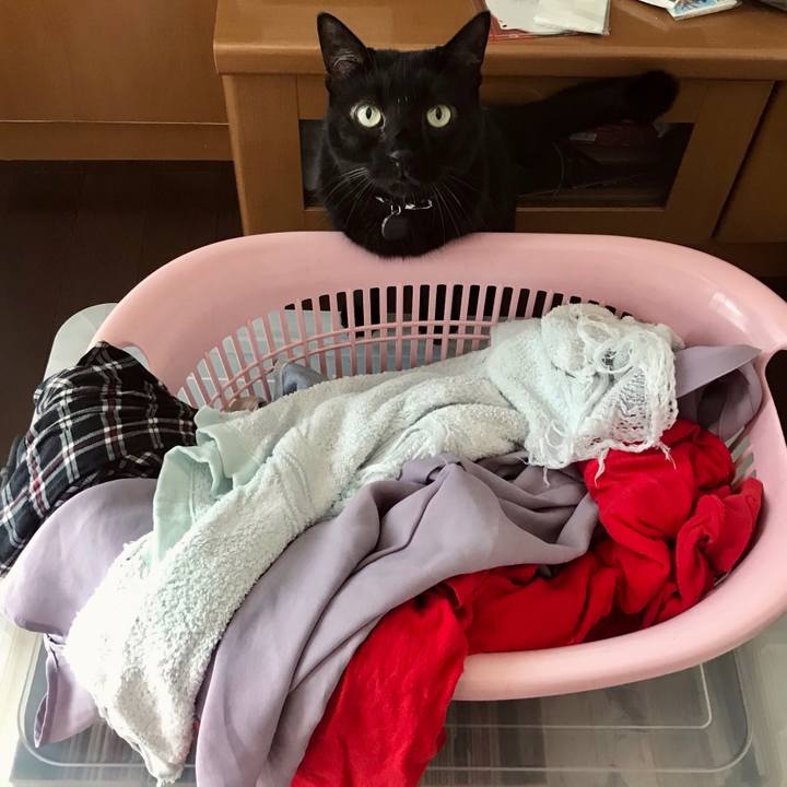 B3e6aec8 0241 488b b4d2 2d1a52f8f5ee 1596531398061