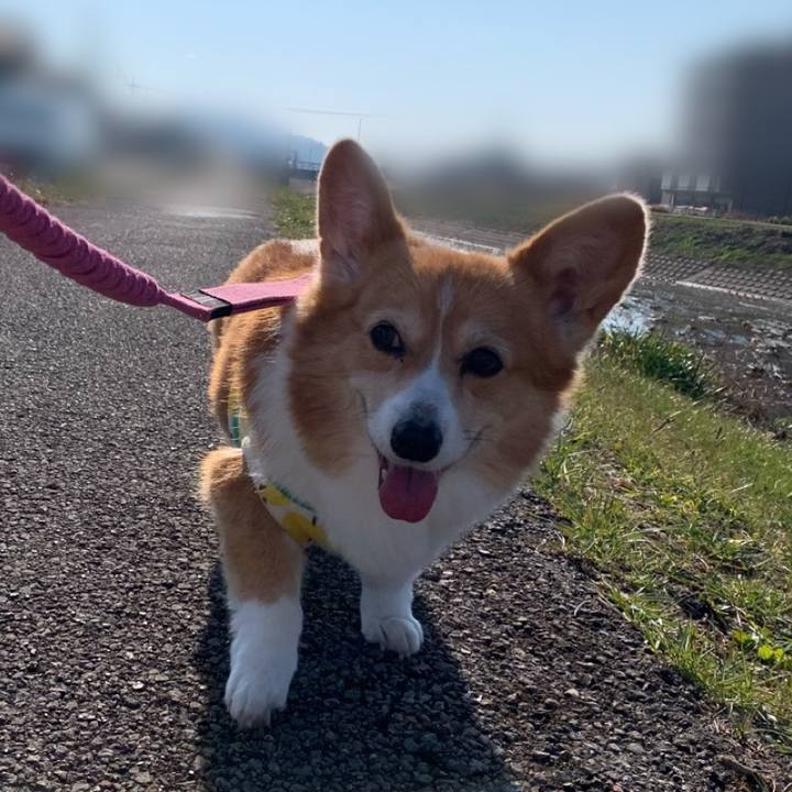 B3e6ff74 8c1a 437d b0e9 8706c777acb4 1703998367497