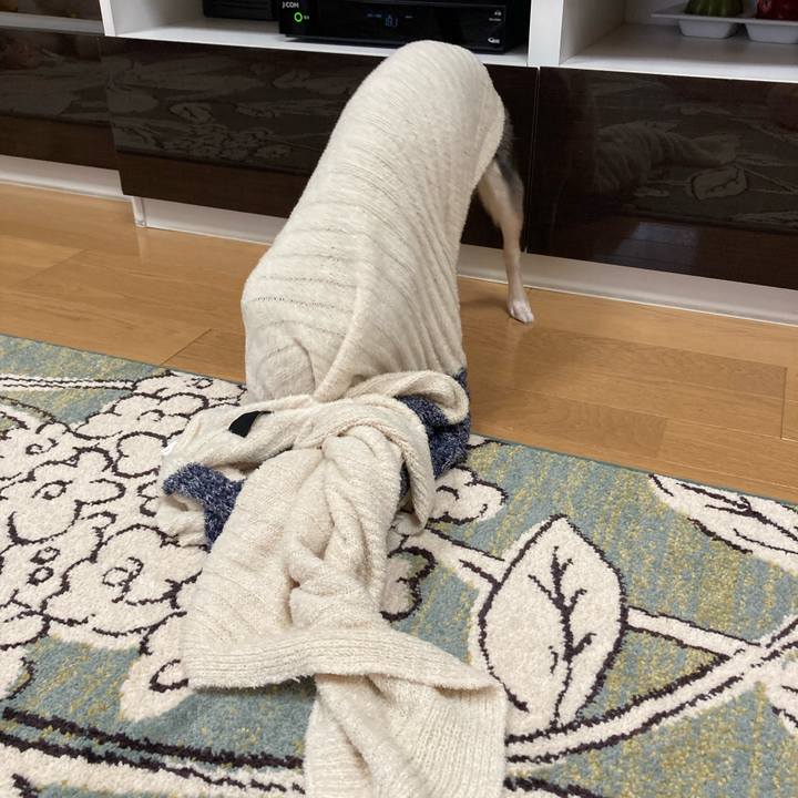 B3e7047f 51f1 475c a583 46aefbd65d35 1630761670138