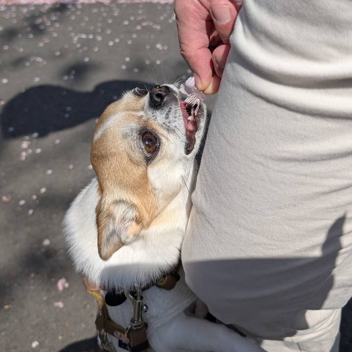 B3e71ea2 40a7 4ce9 8563 5e92e16a7aa2 1742717225750