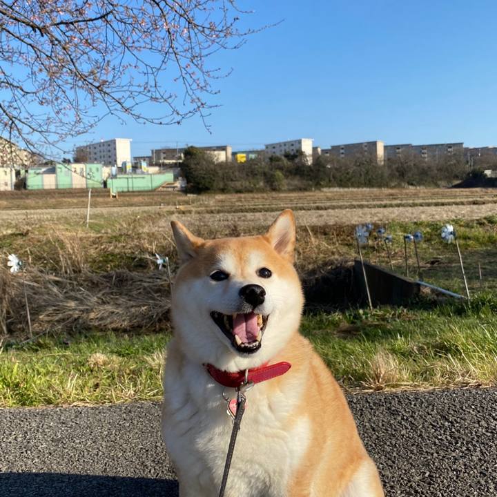 B3e72744 82cf 463c 8a7a 438cc6870fe6 1613818452630