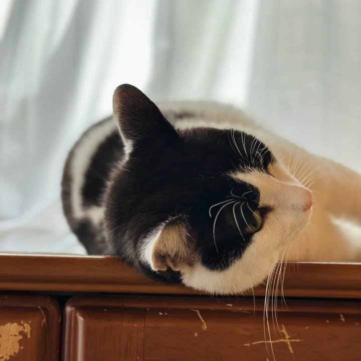 B3e74f4a 2abf 42ce 9968 b30550efccad 1672543130806