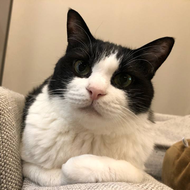 B3e76d10 49fd 4b82 ab87 d982bf795441 1656370638987