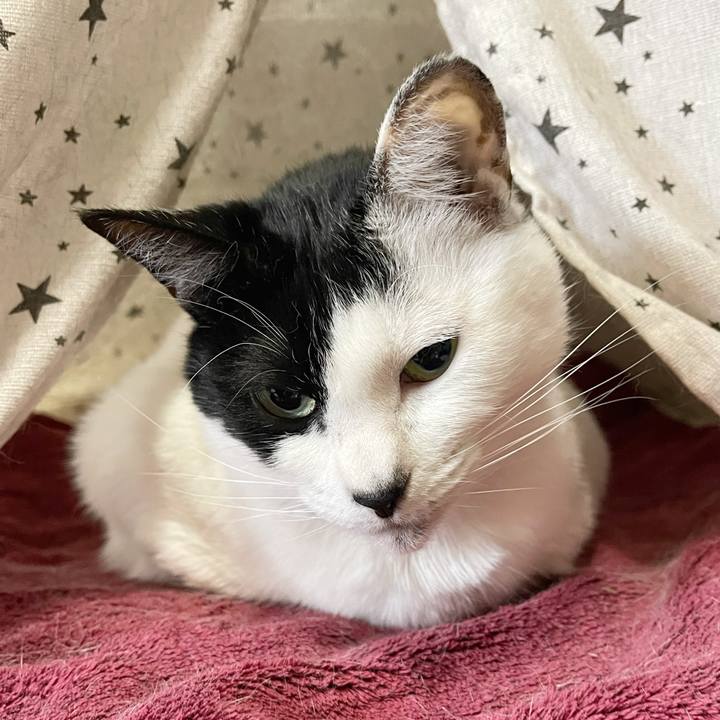 B3e77851 28cd 4fa9 9fb7 404c67039d07 1765406650617