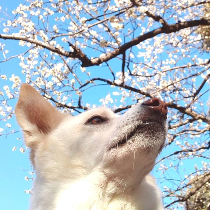 B3e7b850 372e 4284 a3c8 37fa98abf6a2 1645579598687