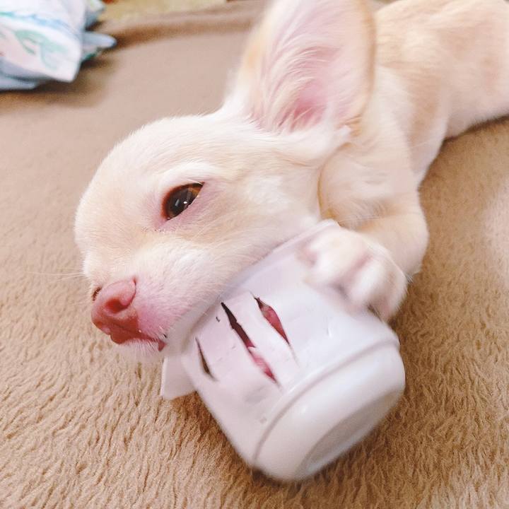 B3e7bdb3 ff3d 4fac a6c7 b7a200b86ced 1595904984722