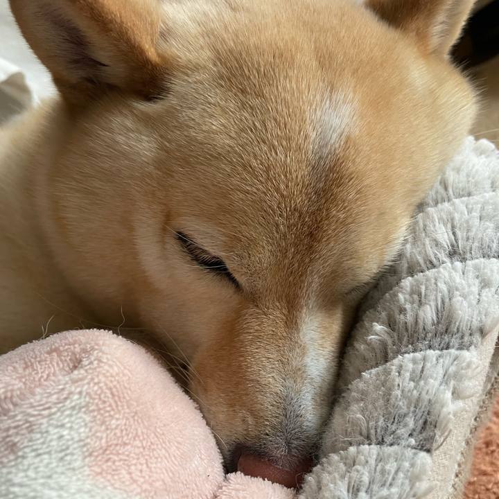 B3e7c331 d6f5 49c4 957d fe9eff06137f 1676336814733