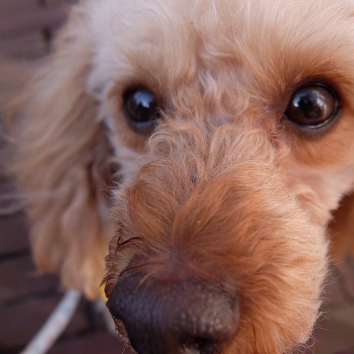 B3e7e2ce c6fd 4ad3 9741 018da9c18804 1521285959941