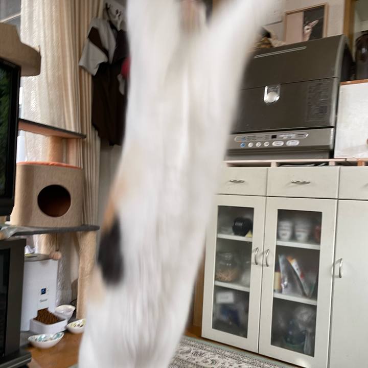 B3e7e809 d4e3 4f6f aff2 e61a427cfbcc 1714947139216