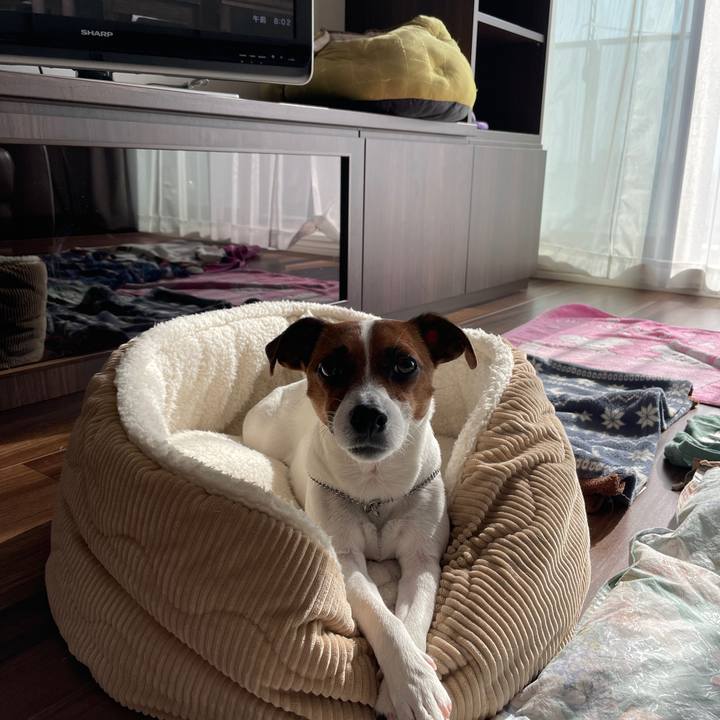 B3e7ee85 1d32 475c 87cd a03dca9919ae 1649718263813