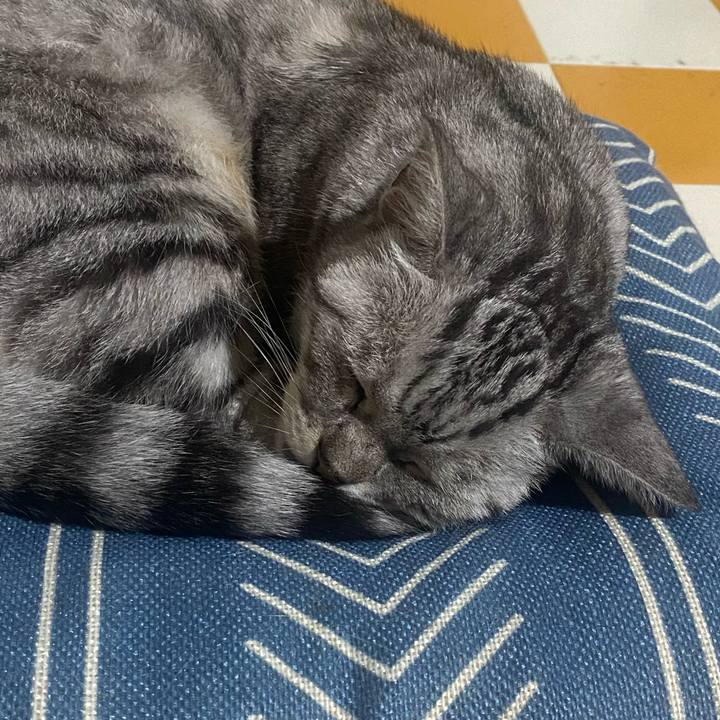 B3e7f101 b7e8 4e7e b328 2e907302107a 1727975602435