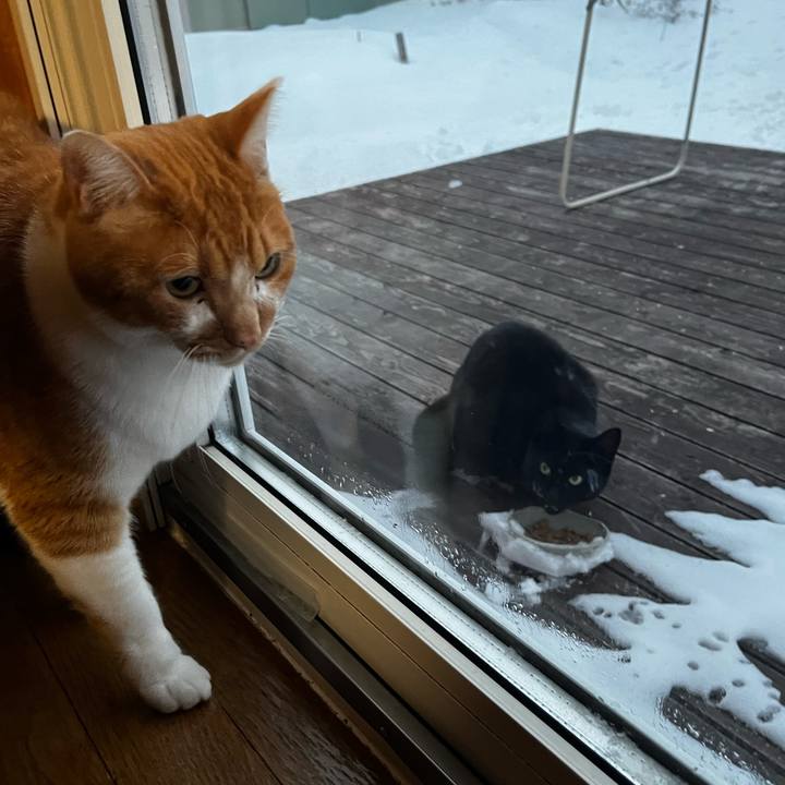 B3e80dd8 41de 4c3e bbe0 65a4515ab8ec 1705582365517