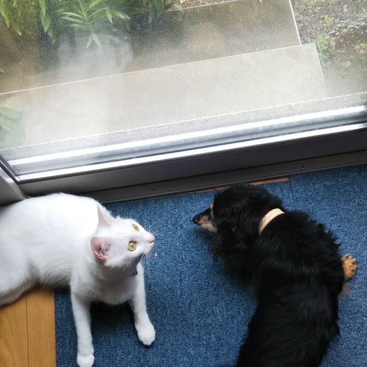 B3e81e84 13d8 4ba8 92f1 c6243f1d2fa8 1626320881340