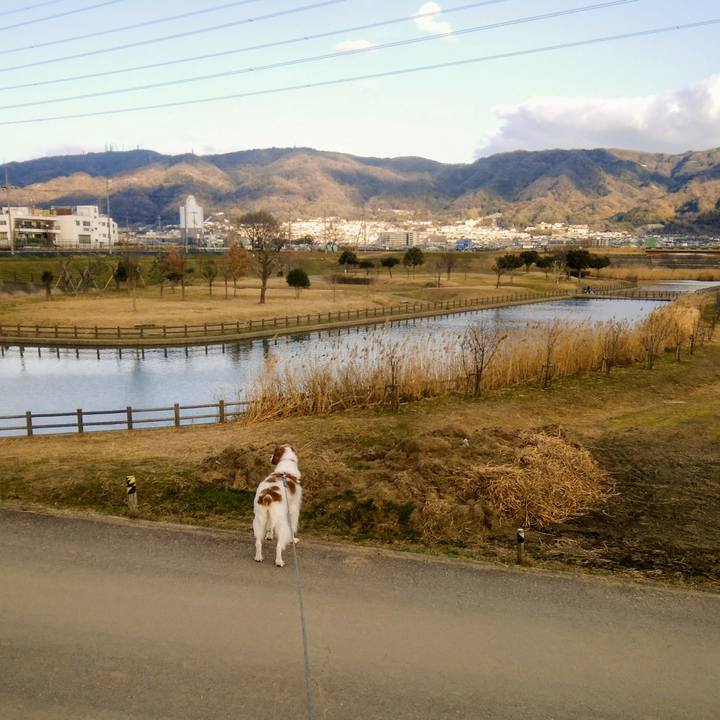 B3e82319 53a2 46c5 b6de 3b82025d7b21 1548328857472