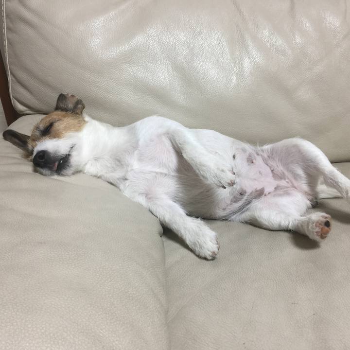 B3e85e41 e780 45d2 8b3d e9b266c7f075 1511452641793