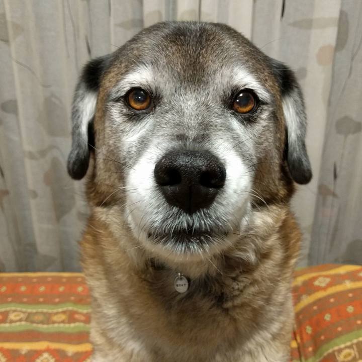 B3e875ff eee9 4557 a6aa 0150391ca4a9 1733792183951