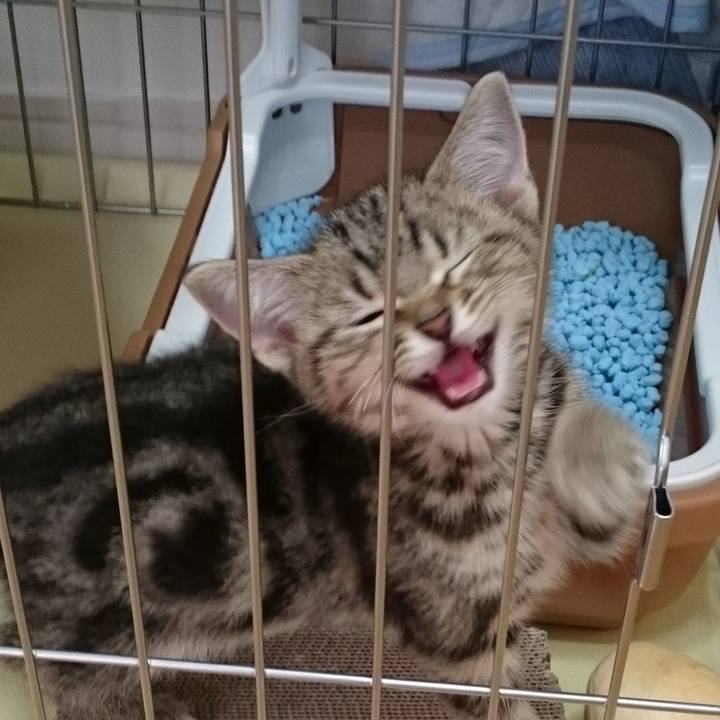 B3e8cbad d513 48a9 902a ddfd6f83dd01 1594631779161