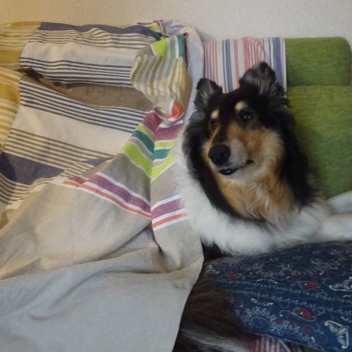 B3e8ed0c 5e71 44ec bcb5 1a804f586aa6 1588768250243