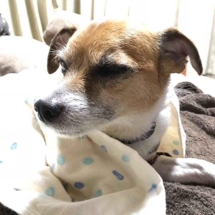 B3e8f757 2d34 43cf bf0a 1e1fbde6c096 1541764951621