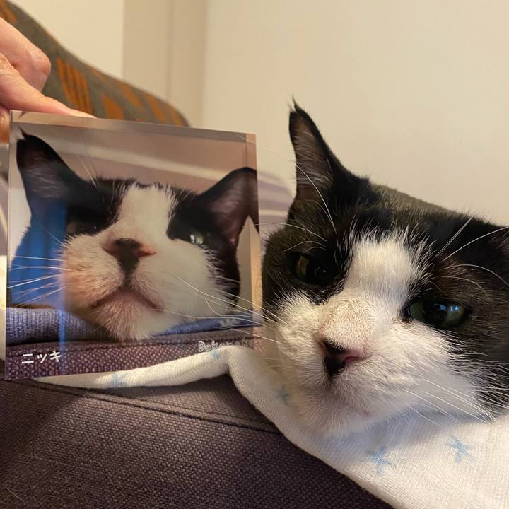 B3e8fa56 23ce 4524 a419 9eca4586df67 1750507998149