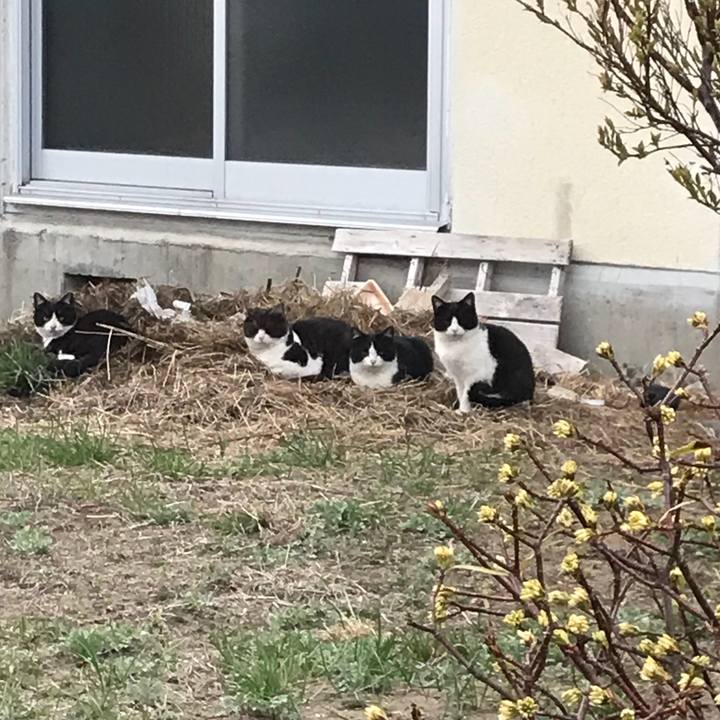 B3e901e9 99de 4376 8014 e25c3cf0ba07 1522578003333