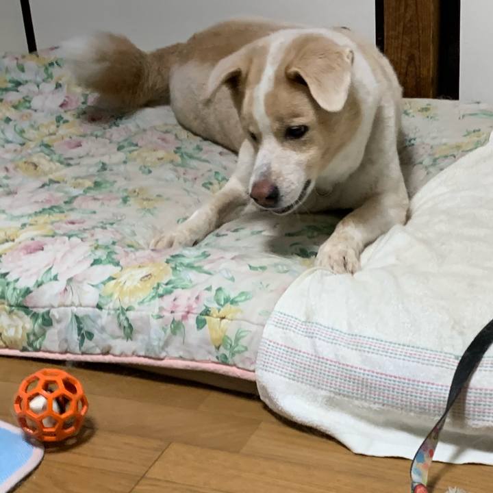 B3e97caf 1abf 4593 aa28 0f9b10bf482a 1572093632566