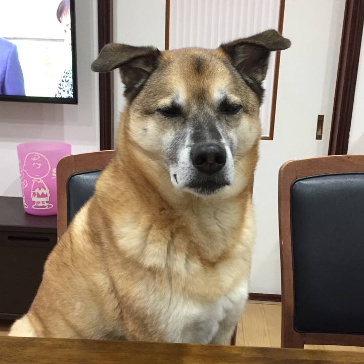 B3e97e31 ac9e 4268 8610 356161565934 1577487926943