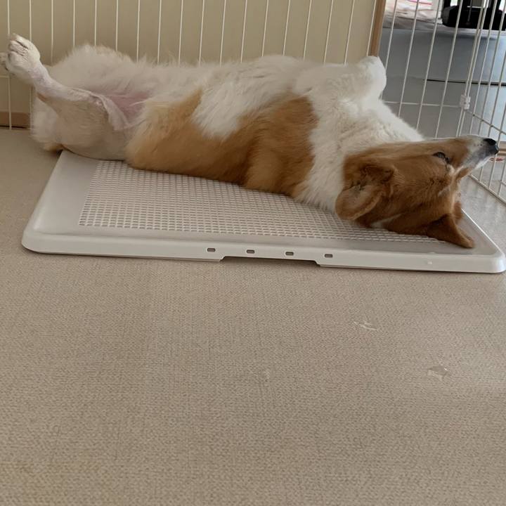 B3e9b157 5e55 4ee0 a7c2 17a568499ce0 1689311676049