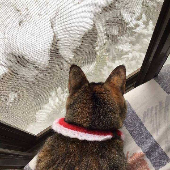 B3e9e51f 8029 4065 9310 1cf1805f4f2e 1610421364841