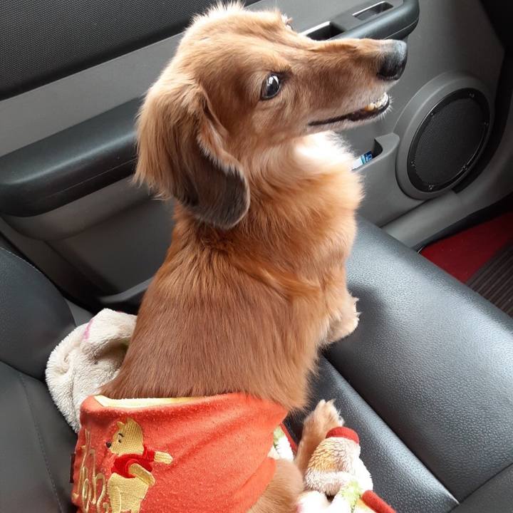 B3e9fd58 0864 486d 9e74 45e7af585abf 1612266231479