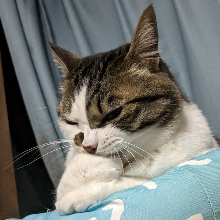 B3e9fda2 44cf 4a0e 8a09 42b7d90c1dd0 1715338569254