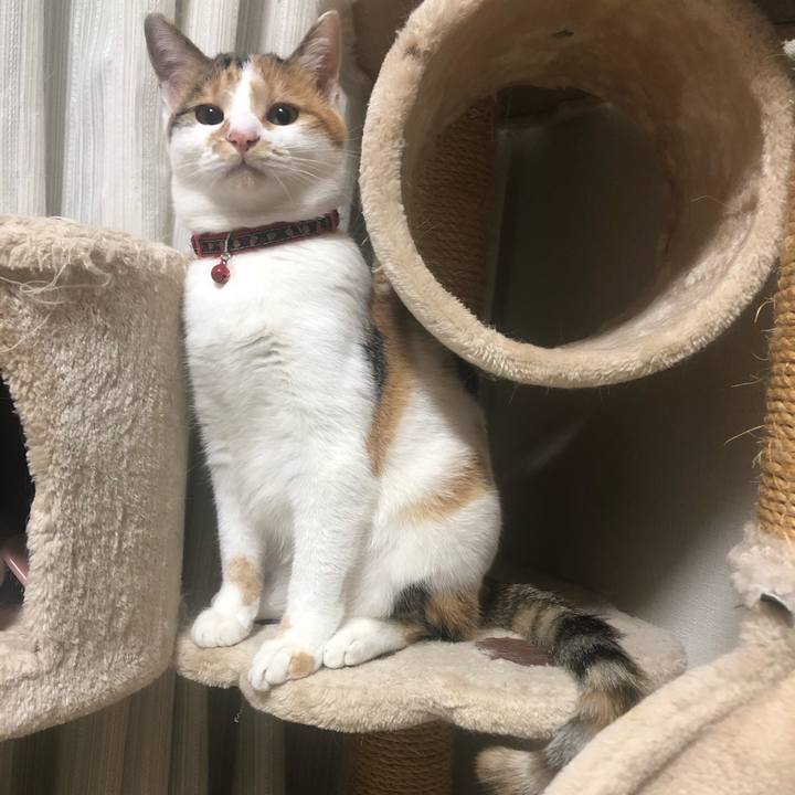 B3ea0467 6b18 49ad a7c1 cbd313480676 1576761355954