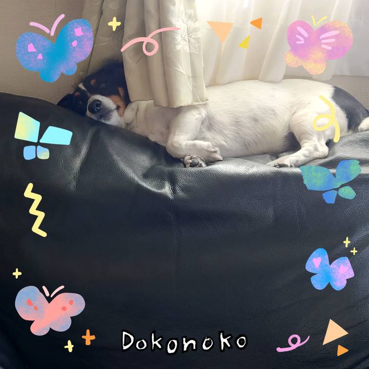 B3ea0f21 cbca 4525 961c 437dd043b93b 1711010320999