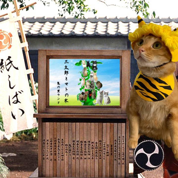 B3ea1328 d0e4 4862 b551 edbbcb8f772d 1565997821641