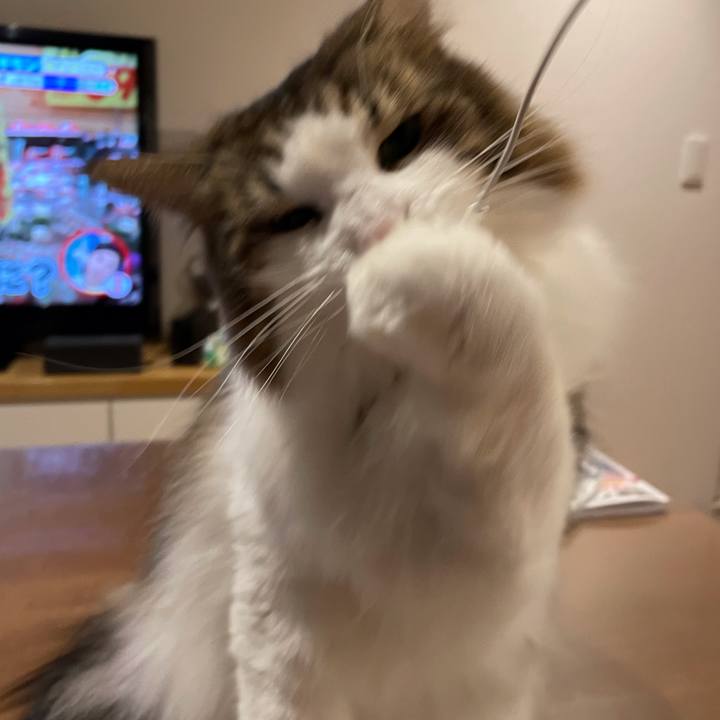 B3ea291a b129 4c99 abd0 b2ee416b5dce 1643111543916