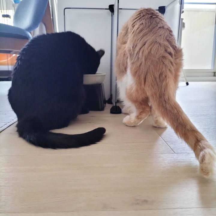 B3ea4381 4e13 402f 9910 53b7b184d3ef 1713343756427