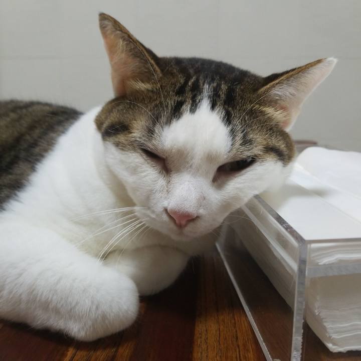 B3ea4d80 a583 4be3 a896 ac1f2d1bf76a 1571867356651