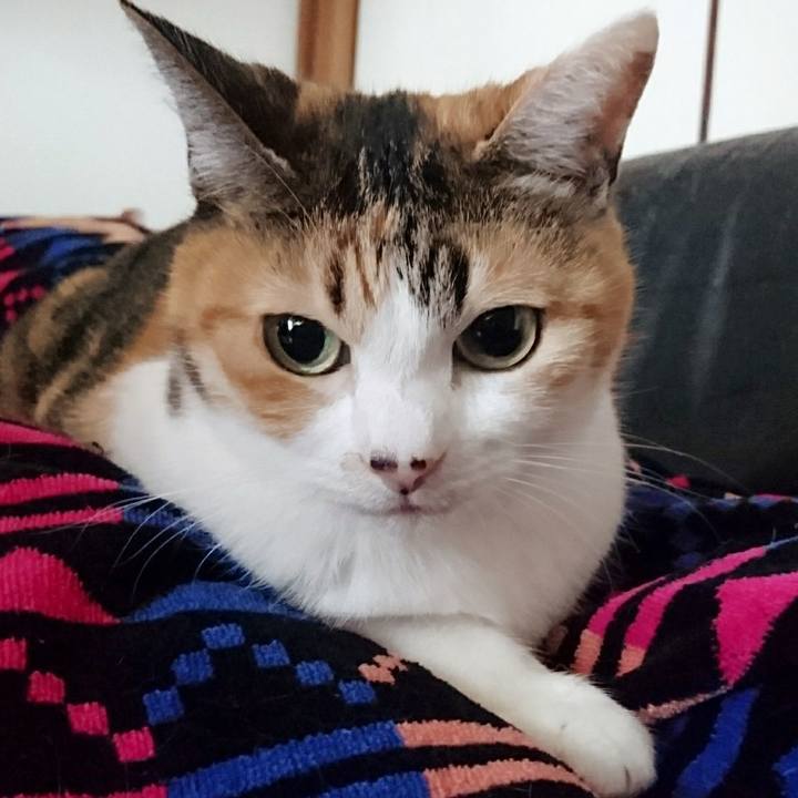 B3ea6047 a059 4ce8 93bd 2ba013fb6a65 1578113653727