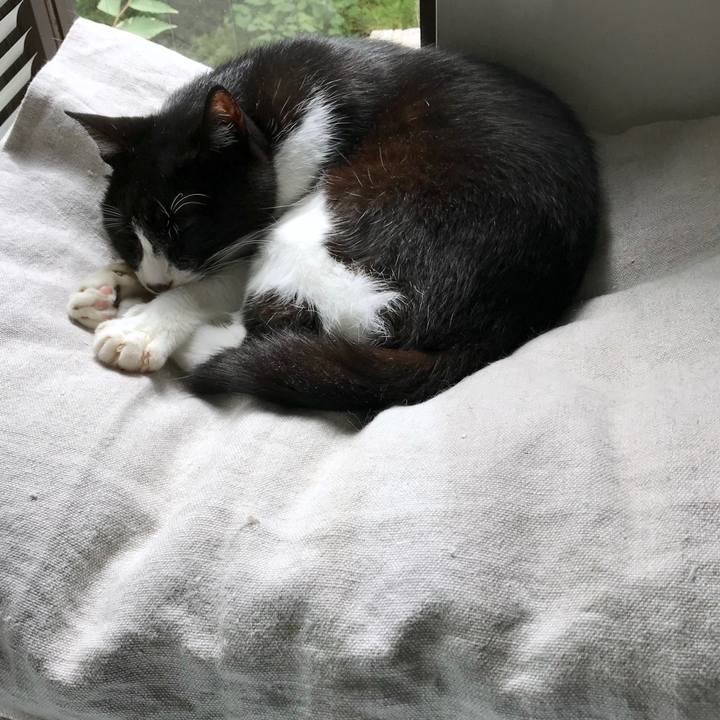 B3ea6e64 a5f4 4144 94d0 db03db8df59b 1534399736807