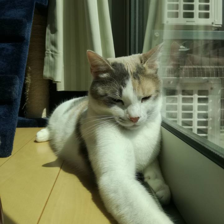 B3ea7f6d 4fc5 4b95 b8b0 7a9d23748fa5 1523327064882