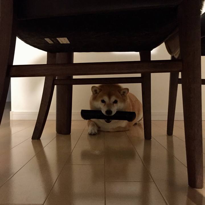 B3ea8b4e e592 4e5f b097 35cdfd8920cc 1583152045814