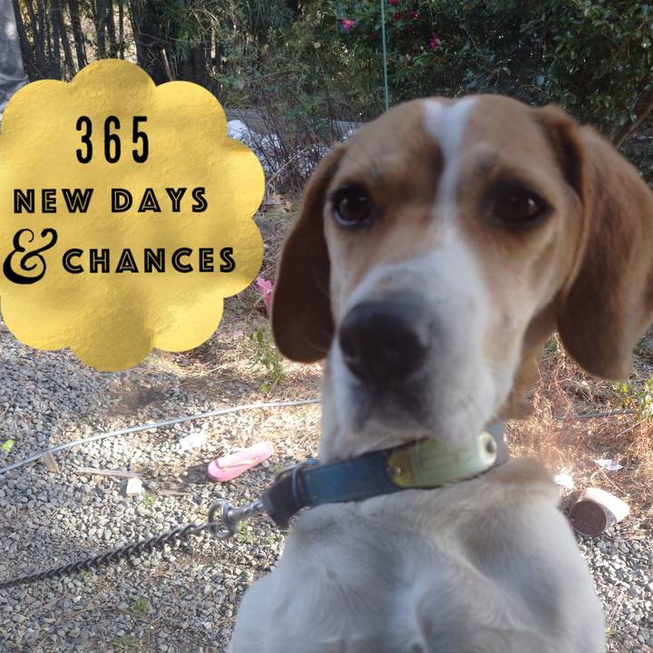 B3ead8ce 429a 449a b210 ea9b499c66f9 1610705353988